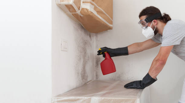 Professional Bathroom Mold Removal technician working in Garfield, TX